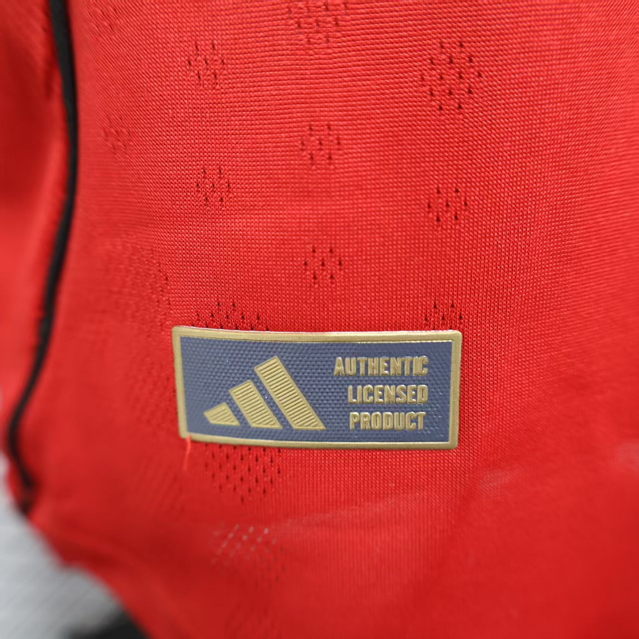 מנצ'סטר יונייטד בית 25/26